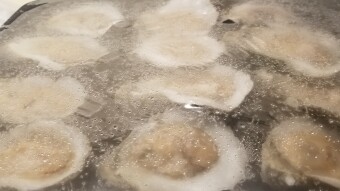 Adding Oysters into my diet
