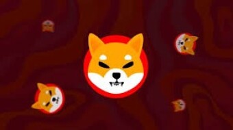 Will shiba be the biggest crash in history ?