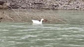 River hiking - wrecks and debris