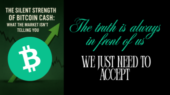 Why Bitcoin Cash Stands Strong When Everything Else Falls
