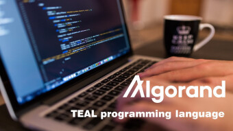 TEAL programming language makes Algorand perfect for DeFi usage