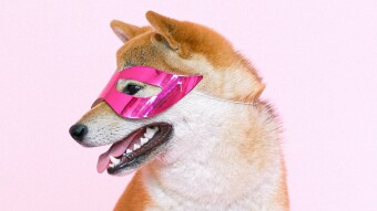 D.O.G.E. Do Only Kindness Everyday, A Meme-Culture of Kindness