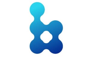 Where is the DEX? Bitdepositary project.