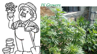 Garden Trash Vol.2 #5