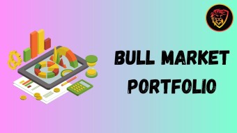 Bull Market Portfolio in 4 Major Categories