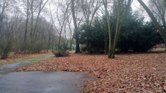Monday, Nothing Good Happens - My Actifit Report Card: December 8, 2025