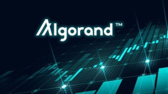 UNVEILING THE REVOLUTIONARY BLOCKCHAIN WITH NO FORK