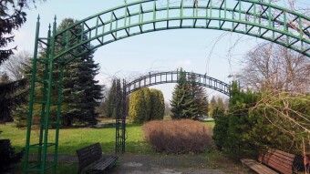 Another beautiful spring day - My Actifit Report Card: February 29 2024