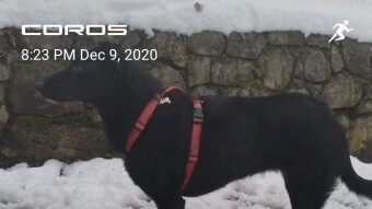 almost there [Exhaust Running Community Report, December 9th 2020]