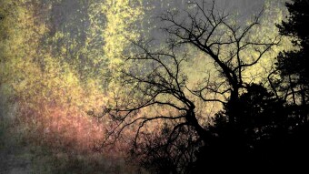 This Can't Be Happening To Me: A Brief Short Story About the Earth and Harmony