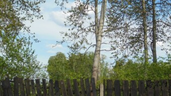 Lublin atmosphere - continuation - My Actifit Report Card: May 1 2024