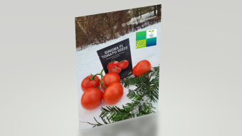 Is there now an overabundance of tomatoes on the market in your country?