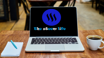 The Steem Life: Terms you should know
