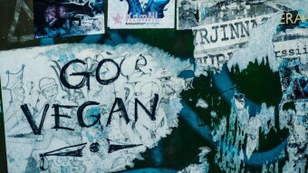 Massive Growth of Veganism is because of One Rule