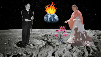 Cartoon Flowers on the Moon