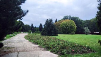 As usual, a very pleasant Friday, because it is Friday after all 😃 - My Actifit Report Card: September 12, 2025