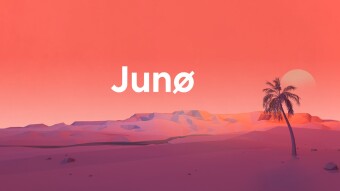 To Ban, or Not To Ban a Whale ($100 million on the line) - The Governance Vote To Seize a Whale's Crypto Assets (Juno)