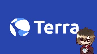 Terra in focus, the largest stablecoin creator