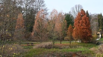 Friday feels more like winter than autumn - My Actifit Report Card: November 21, 2025