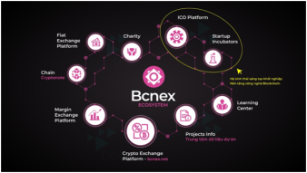 Earn Free Bcnex Tokens: Bcnex Exchange