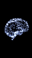 Conscious Connection