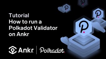How to run your own Polkadot Validator on Ankr?