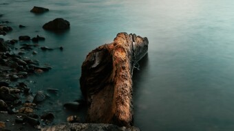 #1 Long Exposure