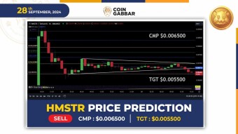 Hamster Kombat Coin Price Prediction: Is Worst Yet to Come?