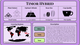 Conscious Caffeine #16 - Timor Hybrid