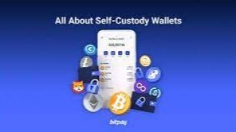 Cryptocurrency: What's better, storing in self custody or on a Crypto Exchange?