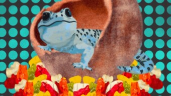 Easy $5 off for CoinGecko Shop
