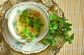 Let us talk about the refreshing Mint