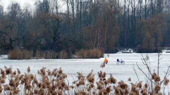 Happy cyclist fishing, just after the thaw - My Actifit Report Card: January 28, 2026