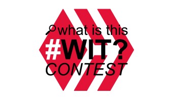[ENG/ITA] WIT Contest: Week 1 Results + Week 2
