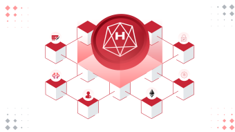 How HALO Network Supports Blockchain DApps