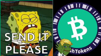 Bitcoin Cash Has CASHTOKENS, But Can We Get a Little Awareness Please?