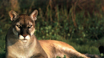 Bitcoin and Finance Charts To Start Week - 5/5