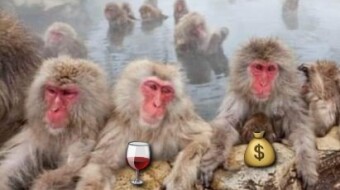 AP Wine and the DeFi Meme Decathlon - The final battle!