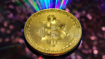 Slow Crypto Race, Turtles Can Win Here