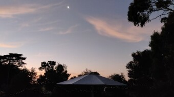 Reflections from a Farm Part 3: What is Money for?