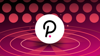 Polkadot Skyrockets!