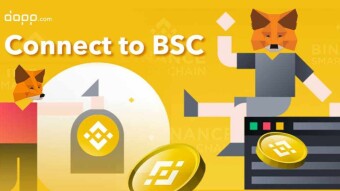 👛 How to Connect MetaMask to Binance Smart Chain?