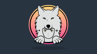 SAITAMA INU Coin - Everything You Wanted To Know