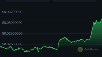 A new candidate for the top 10 coin market chart