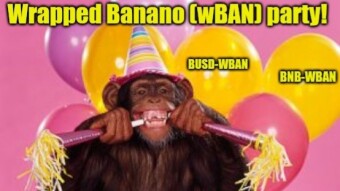 Wrapped Banano after one month - Did wBAN meet the expectations?