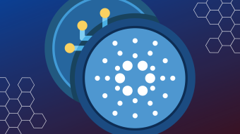 Cardano Launches ADA Pay Plugin with Odoo
