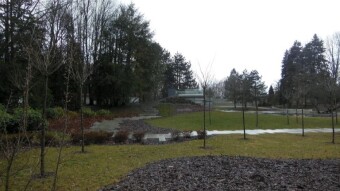 Warm, rainy, sunny and windy - My Actifit Report Card: March 9 2023