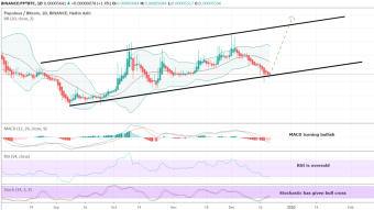 Why We Should Buy Populous Coin Here? | The Complete Elaboration How The Populous Has Completed The Setup For Bullish Move