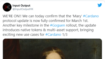 CARDANO Mary update - Quo vadis
