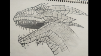 Dragon Drawing / Ejderha Çizimi (TR/EN)